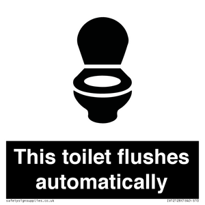 This toilet flushes automatically